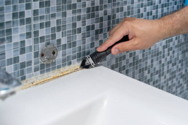 Best Commercial Mold Removal  in Dassel, MN
